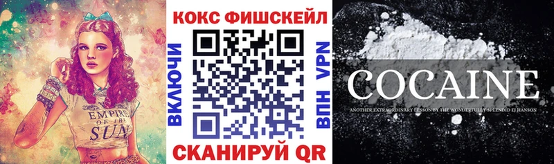 Купить  Гай  КОКАИН VHQ 