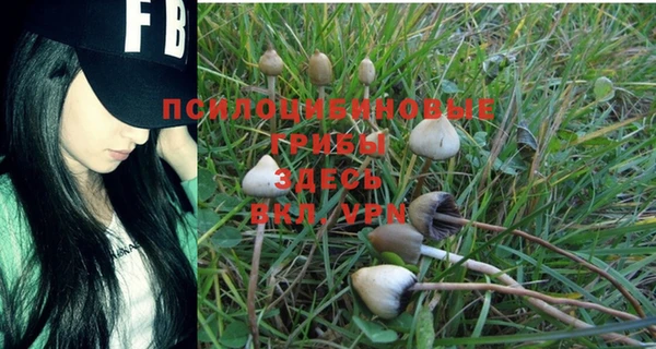бутират Балабаново