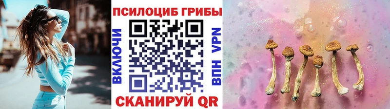 Галлюциногенные грибы мицелий  Купить  Гай 